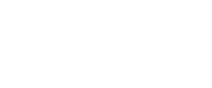 R2 2013 Responsible Recycling Badge
